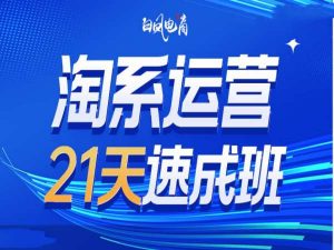 淘系运营21天速成班35期，年前最后一波和2025方向-精品虚拟资源库