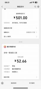 悟空评论截流玩法攻略,一个评论0.5.单号日产10可多号-精品虚拟资源库