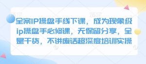全案IP操盘手线下课,成为现象级ip操盘手必修课,无保留分享,全是干货,不讲废话超深度培训实操-精品虚拟资源库
