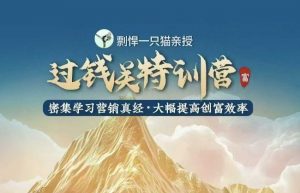 剽悍一只猫-过钱关特训营，学习营销真经 大幅度提高创富效率-精品虚拟资源库