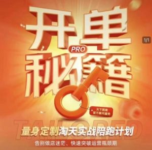 淘宝开单秘籍PRO,量身定制淘天实战陪跑计划,告别做店迷茫、快速突破运营瓶颈期-精品虚拟资源库