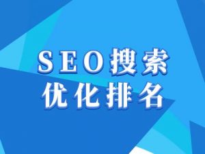 抖音搜索SEO教程，抖音SEO搜索优化排名-精品虚拟资源库
