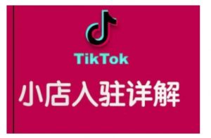 TikTok跨境小店运营全攻略，帮助你独立运营TK跨境小店的能力，实现销量增长-精品虚拟资源库