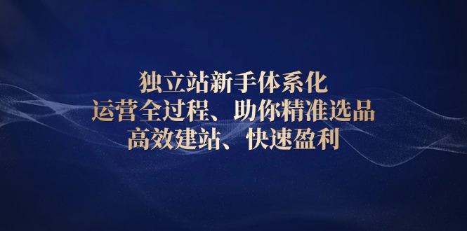 独立站新手体系化 运营全过程，助你精准选品、高效建站、快速盈利-精品虚拟资源库