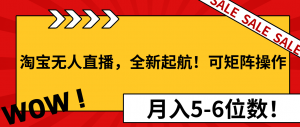 淘宝无人直播，全新起航！可矩阵操作，月入5-6位数！-精品虚拟资源库