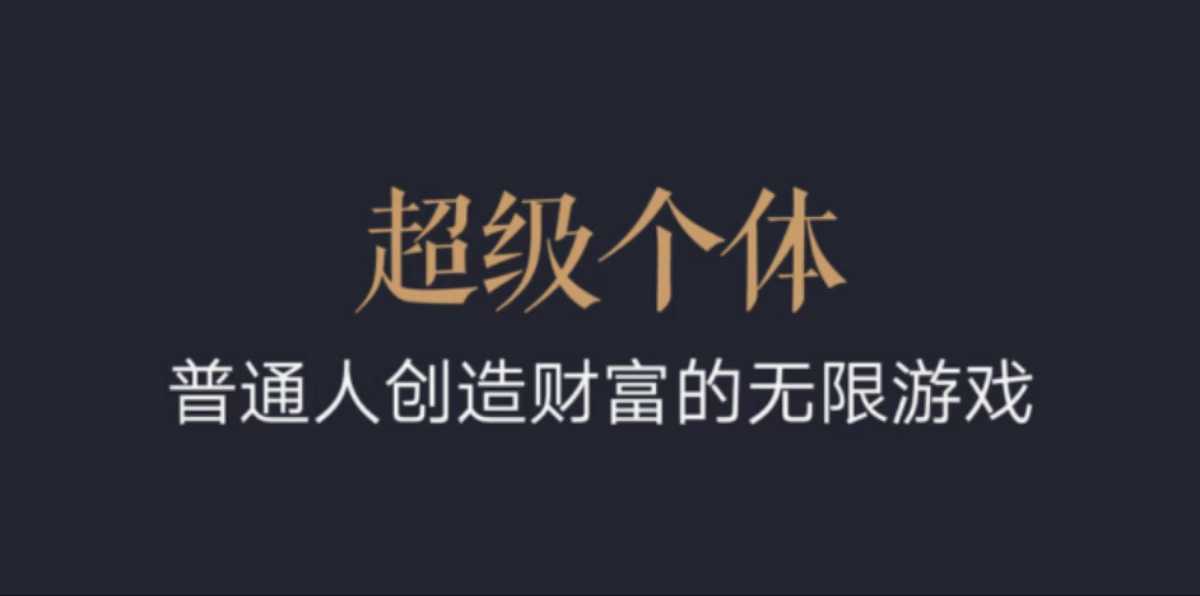 超级个体：2024-2025翻盘指南，普通人创造财富的无限游戏-精品虚拟资源库