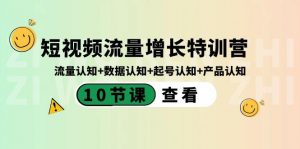 短视频流量增长特训营:流量认知+数据认知+起号认知+产品认知(10节课)-精品虚拟资源库