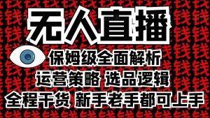2025无人直播这么做就对了，保姆级全面解析，全程干货，新手老手都可上手-精品虚拟资源库