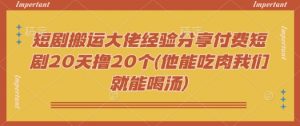 短剧搬运大佬经验分享付费短剧20天撸20个(他能吃肉我们就能喝汤)-精品虚拟资源库