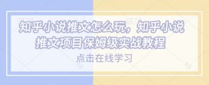 知乎小说推文怎么玩，知乎小说推文项目保姆级实战教程-精品虚拟资源库