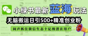 小绿书无脑搬运引流，全自动日引500精准创业粉，微信生态内又一个闷声发财的机会-精品虚拟资源库