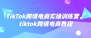 TikTok跨境电商实操训练营，tiktok跨境电商教程-精品虚拟资源库