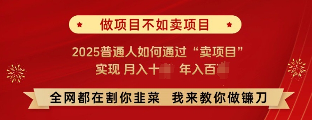 必看，做项目不如卖项目，2025普通人如何通过“卖项目”实现月入十个，年入百个-精品虚拟资源库
