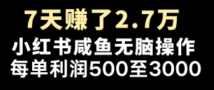 全网首发，7天赚了2.6万，2025利润超级高！-精品虚拟资源库