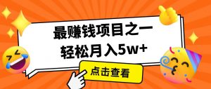 全网首发！7天赚了2.4w，2025利润超级高！风口项目！-精品虚拟资源库