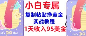 复制粘贴挣美金,0门槛,1天收入95美刀,3分钟学会,内部教程(首次公开)-精品虚拟资源库