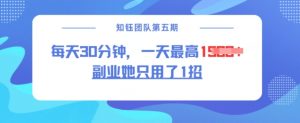 副业她只用了1招,每天30分钟,无脑二创,一天最高1.5k-精品虚拟资源库