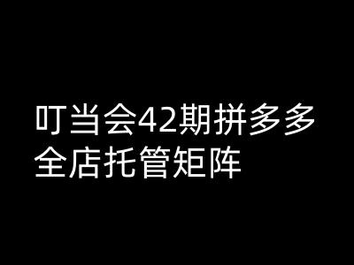 叮当会拼多多打爆班原创高阶技术第42期，拼多多全店托管矩阵-精品虚拟资源库