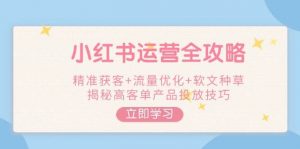 小红书运营全攻略,精准获客+流量优化+软文种草,揭秘高客单产品投放技巧-精品虚拟资源库