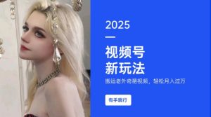 搬运老外奇葩视频，撸视频号分成计划收益，每天只需一小时，新手小白轻松月入过W-精品虚拟资源库