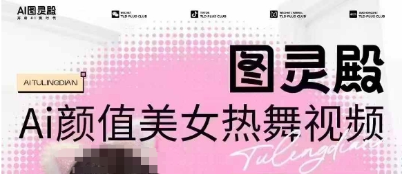 全网首发，原价988图灵殿AI颜值美女热舞视频，云端生图，轻松过原创-精品虚拟资源库