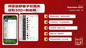 评论区野路子截流创业粉新方法，日被动加300+创业粉，精准引流被动添加...-精品虚拟资源库