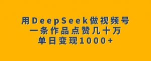 用DeepSeek做视频号，一条作品点赞几十万，单日变现1k-精品虚拟资源库