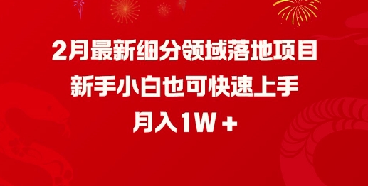 2月最新细分领域落地项目，新手小白也可快速上手，月入1W-精品虚拟资源库