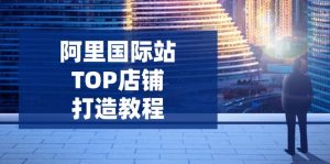 阿里国际站TOP店铺打造教程：涵盖平台到高阶，解决运营难题，提升询盘-精品虚拟资源库