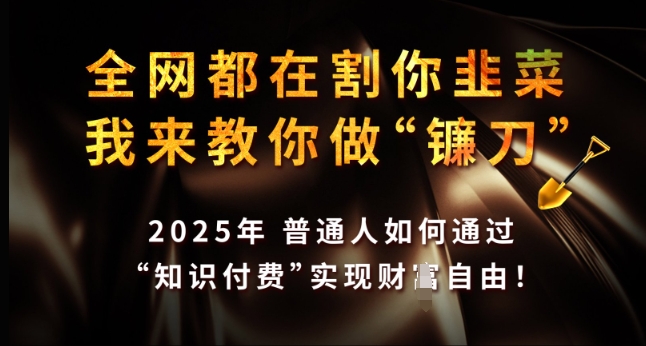 全网都在割你韭菜，我来教你做镰刀，2025年普通人如何通过 知识付费 实现财F自由【揭秘】-精品虚拟资源库