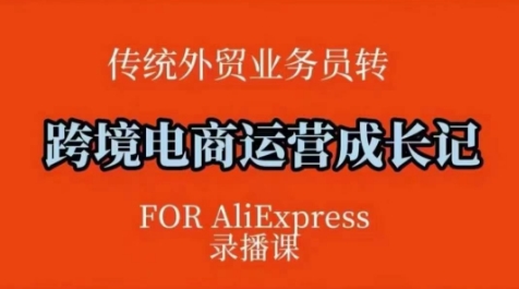 跨境电商速卖通运营课，​运营方法论+后台实操，逻辑清晰-精品虚拟资源库