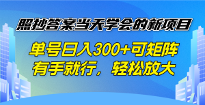 照抄答案当天学会的新项目，单号日入300 +可矩阵，有手就行，轻松放大-精品虚拟资源库