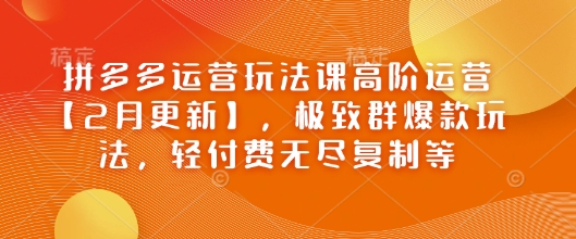 拼多多运营玩法课高阶运营【2月更新】，极致群爆款玩法，轻付费无尽复制等-精品虚拟资源库