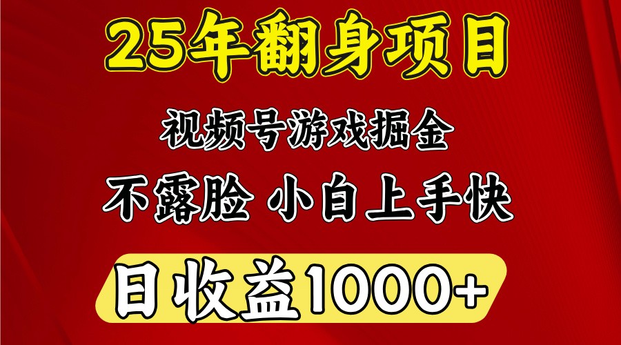 一天收益1000+ 25年开年落地好项目-精品虚拟资源库