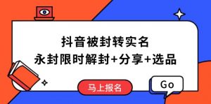 抖音被封转实名攻略，永久封禁也能限时解封，分享解封后高效选品技巧-精品虚拟资源库