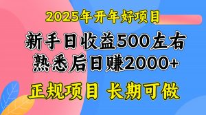2025开年好项目，单号日收益2000左右-精品虚拟资源库