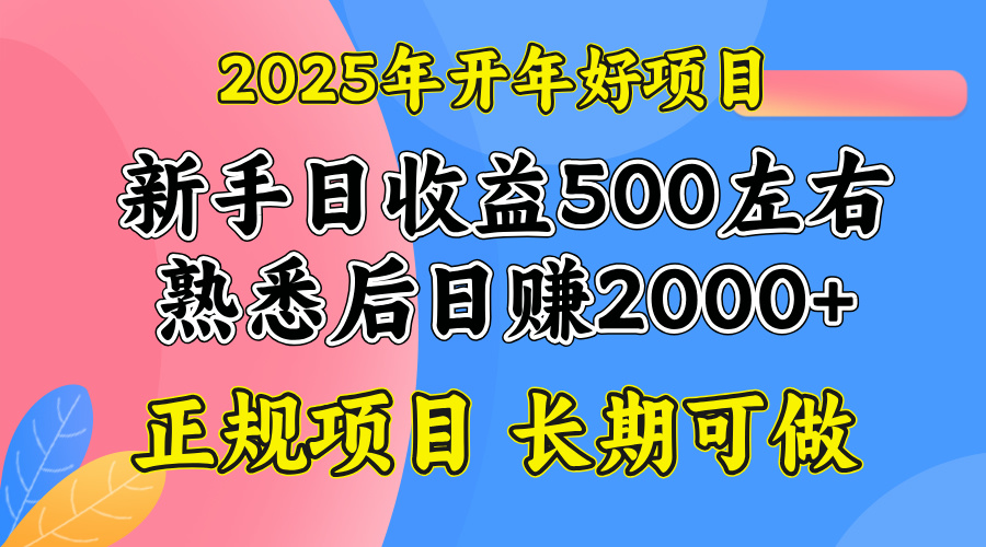 2025开年好项目，单号日收益2000左右-精品虚拟资源库