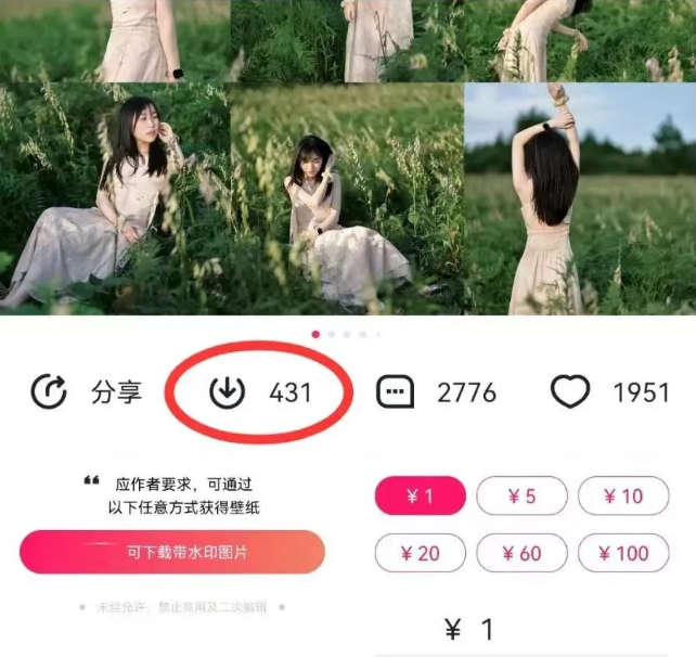 最新图虫搬运项目，收益无上限，利用AI小白也可日赚500+-精品虚拟资源库