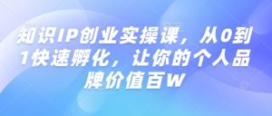 知识IP创业实操课,从0到1快速孵化,让你的个人品牌价值百W-精品虚拟资源库