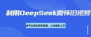 利用DeepSeek做怀旧视频，流量号多渠道变现能力强-精品虚拟资源库