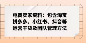 电商卖家资料：包含淘宝、拼多多、小红书、抖音等运营干货及团队管理方法-精品虚拟资源库