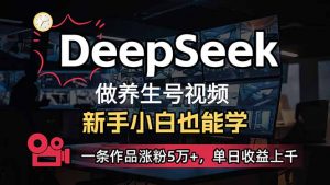 小白用DeepSeek做养生号，一条作品涨粉5万+，单日收益上千-精品虚拟资源库