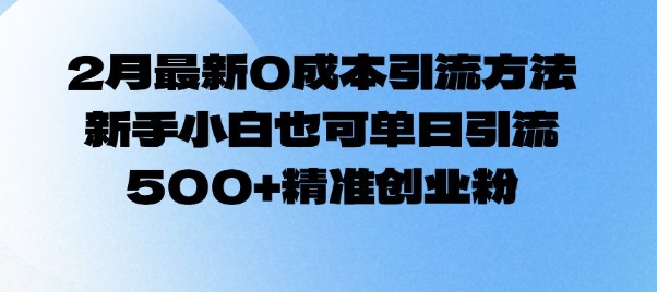 2月最新0成本引流方法，新手小白也可单日引流500+精准创业粉-精品虚拟资源库