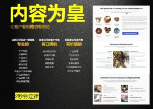 刘老师·外贸询盘增长秘籍从0到1的实战指南-精品虚拟资源库