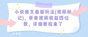 小说推文最新玩法(视频标记)，单条视频收益四位数，详细教程来了-精品虚拟资源库