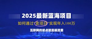 2025最新蓝海项目，零门槛轻松复制，月入10万+，新手也能操作！-精品虚拟资源库