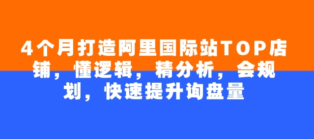 4个月打造阿里国际站TOP店铺，懂逻辑，精分析，会规划，快速提升询盘量-精品虚拟资源库