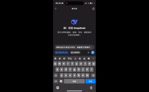 deepseek+小红书打造流量生产线实操课-精品虚拟资源库