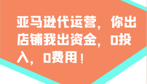 亚马逊代运营，你出店铺我出资金，0投入，0费用，无责任每天300分红，赢亏我承担-精品虚拟资源库