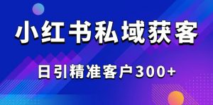 2025最新小红书平台引流获客截流自热玩法讲解,日引精准客户300+-精品虚拟资源库